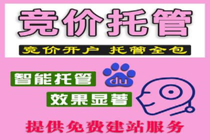 SEM广告投放案例：打造品牌影响力