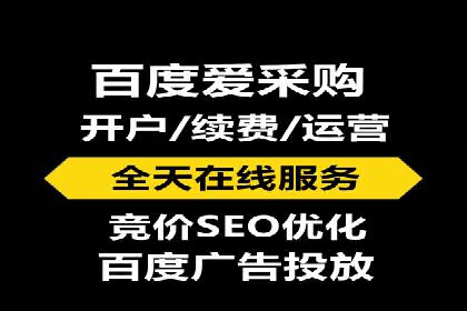 百度SEO推广公司成功案例：助力企业实现流量暴增